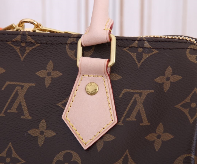 LV Speedy Bags